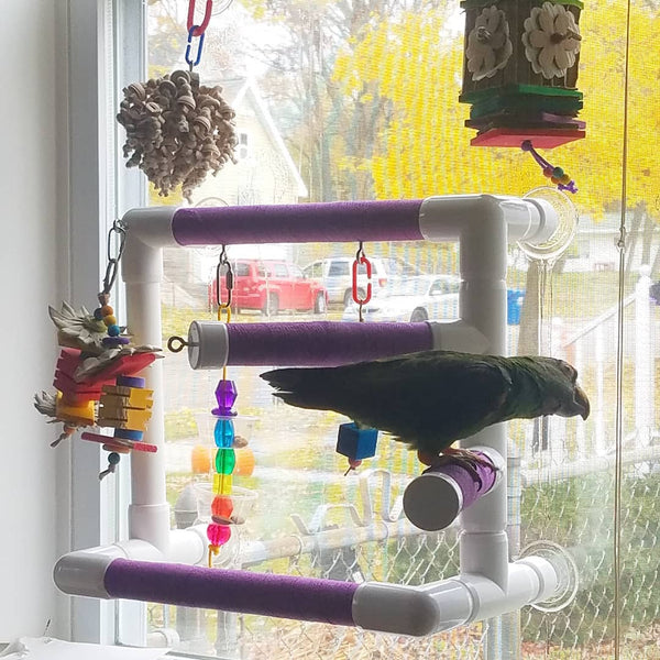 Diy bird outlet play gym