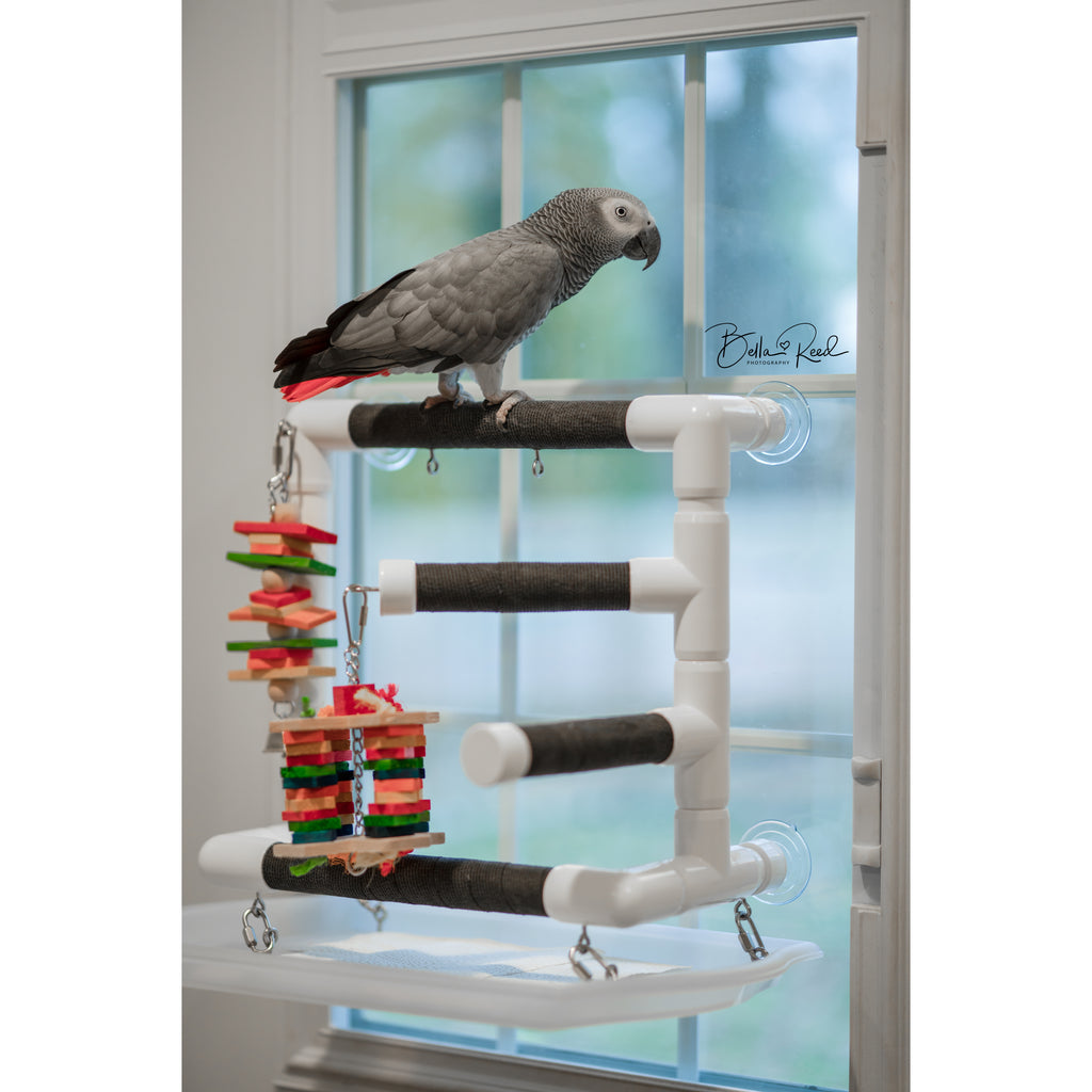 THE ULTIMATE OBSERVER - Window Play Gym for Medium and Large Birds