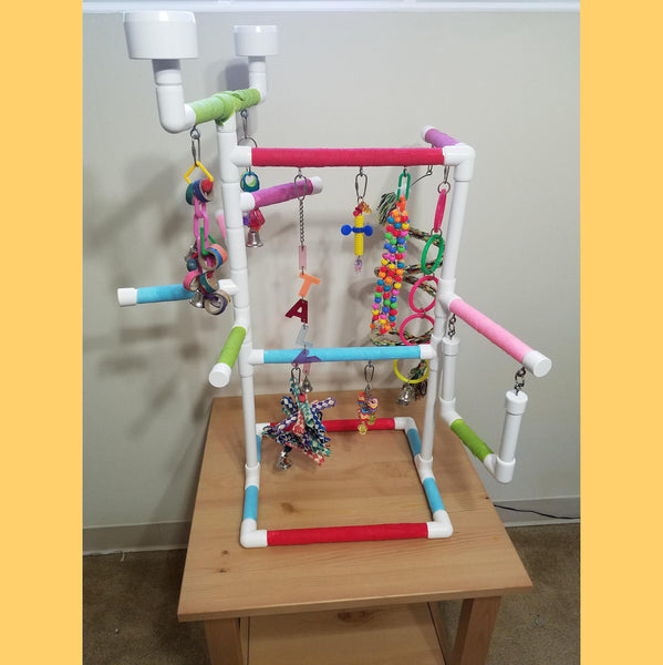 Pvc play gym shops for birds