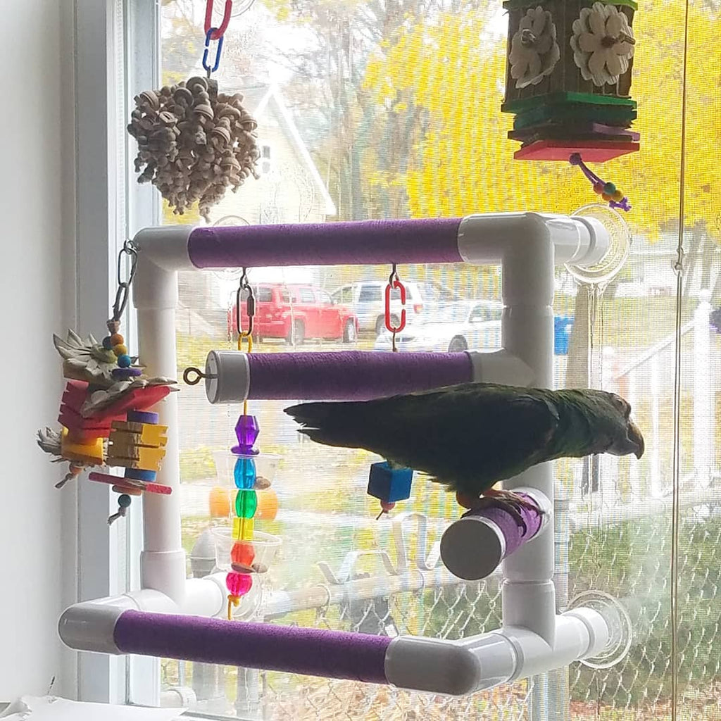 THE ULTIMATE OBSERVER - Window Play Gym for Medium and Large Birds