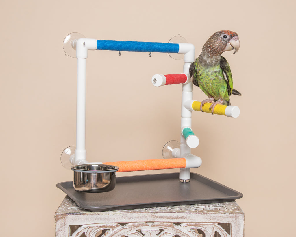 THE OBSERVER - Window Play Gym for Small and Medium Birds